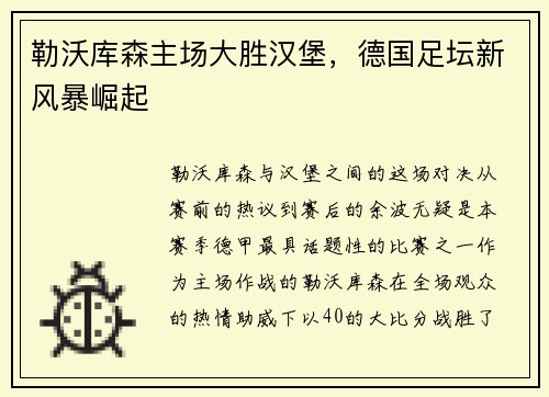 勒沃库森主场大胜汉堡，德国足坛新风暴崛起