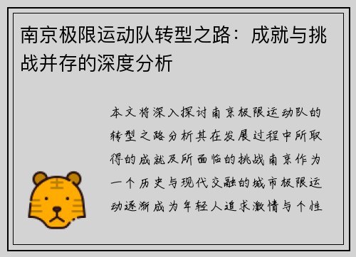 南京极限运动队转型之路：成就与挑战并存的深度分析